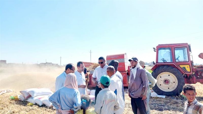 تحرير ١١٦ محضر تموينى