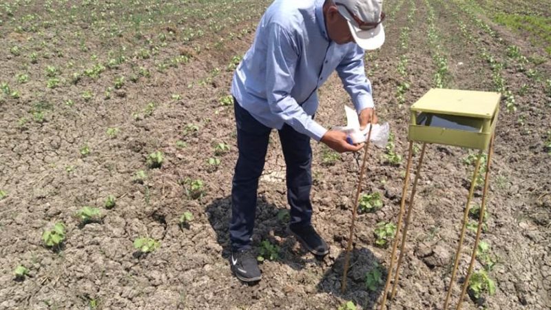 المكافحة الحقلية