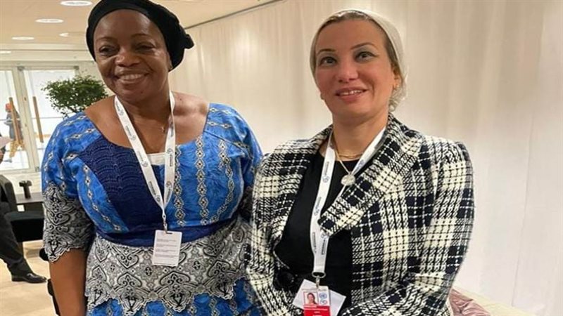 الدكتورة ياسمين فؤاد