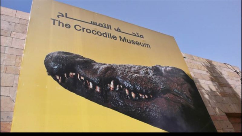 متحف التمساح