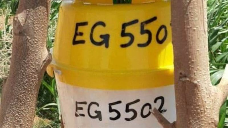 فوائد المصيده الفورمونيه