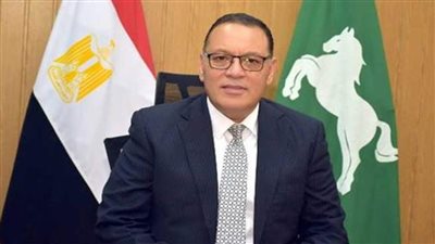 محافظ الشرقية: توريد 610 آلاف طن قمح محلي حتى الآن