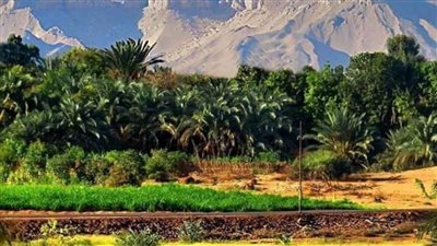 غدا.. وزيرة البيئة تطلق مدينة الخارجة خضراء صديقة للبيئة في الوادي الجديد