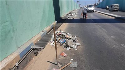 حي ثان الإسماعيلية يقوم بتنفيذ حملة مكبرة لنظافة نفق الثلاثيني بمنطقة عرايشية مصر