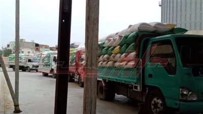 شون وصوامع كفر الشيخ تستقبل 224733 طنا و561 كيلو قمح