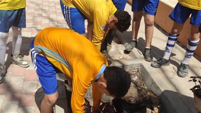 تعليم الإسكندرية يحيي اليوم العالمي للبيئة 