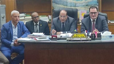 جولات مكوكية لمسؤولي الزراعة بالمحافظات لتشجيع المزارعين على توريد القمح 