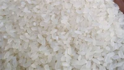 انخفاض ألف جنيه لطن الأرز و700 للزيت و250 للسكر