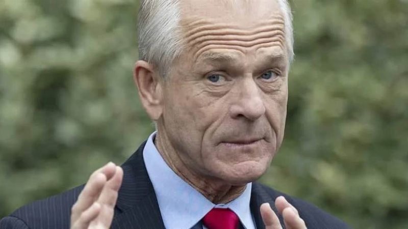 بيتر نافارو