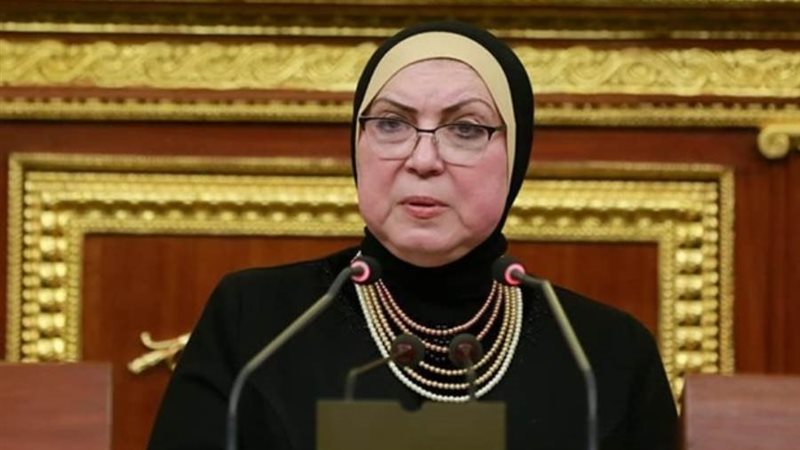 وزيرة التجارة والصناعةللنواب