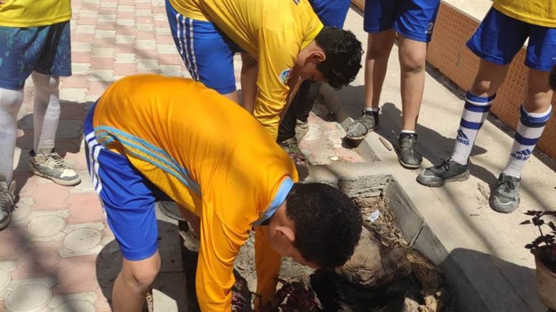 تعليم الإسكندرية