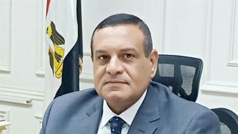 محافظ البحيرة هشام