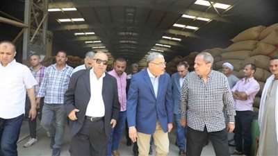 المنيا تحقق المستهدف من توريد القمح بنسبة 100% والمحافظ يتفقد الشون والهناجر بملوي