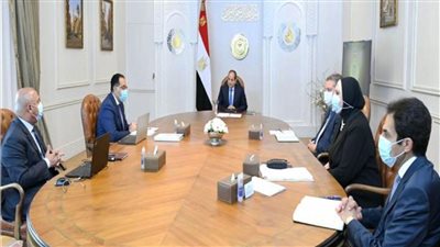 الرئيس السيسي يوجه بالاستمرار في جهود تطوير منظومة الموانئ البحرية المصرية 