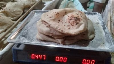 ضبط 13 طن قمح وإحالة 58 محضر مخالفات تموينية للنيابة بالدقهلية 