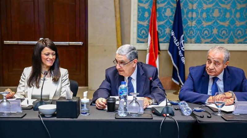 د. رانيا المشاط أثناء