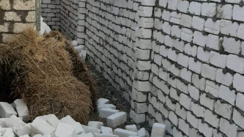 إزالة التعديات