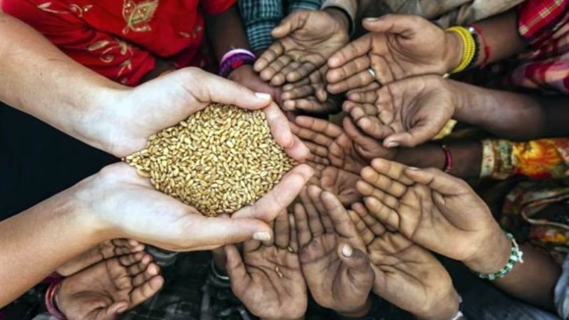 أزمة الغذاء العالمية