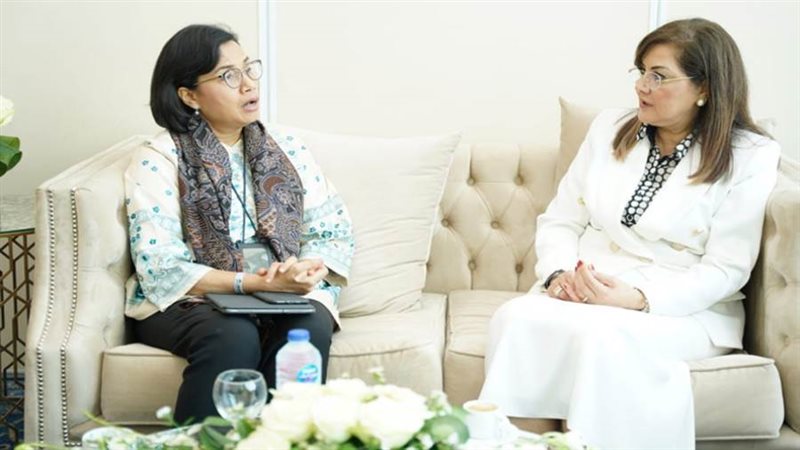 لقاء وزيرة التخطيط