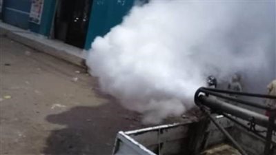 تكثيف حملات رش الشوارع ضد الحشرات الطائرة حفاظًا علي صحة المواطنين بالشرقية 