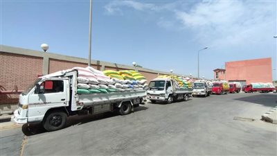 توريد 370 ألف طن قمح لشون وصوامع محافظة البحيرة