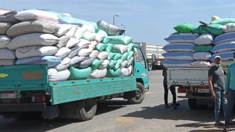 توريد القمح ببنى