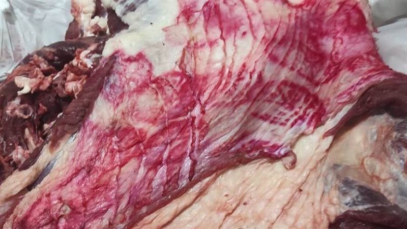 اللحوم المضبوطة