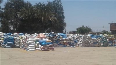 توريد القمح ومتابعة كوبري السكة الحديد ومواجهة التعديات والمخلفات بالواسطى