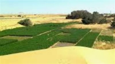 المقومات السياحية والأثرية بواحة الخارجة بالوادي الجديد سبب اختيارها صديقة للبيئة