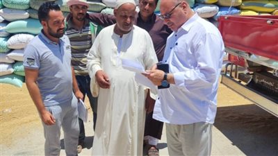 توريد ٣٧٣٢٥١ طنًا من الذهب الأصفر لشون وصوامع محافظة البحيرة