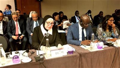 نيفين جامع: حريصون على تعزيز الجهود المشتركة لدول القارة الإفريقية لمواجهة التحديات الاقتصادية والصحية الحالية