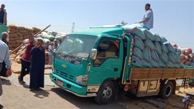 انتظام أعمال توريد القمح المحلي بمواقع الاستلام والتخزين ببني سويف 