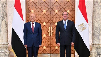 الرئيس السيسي خلال لقائه 