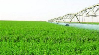 توصيات مديرية زراعة الإسماعيلية لحماية المحاصيل من ارتفاع درجات الحرارة