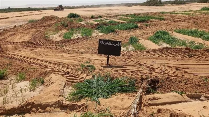 حملات مكثفة لإزالة