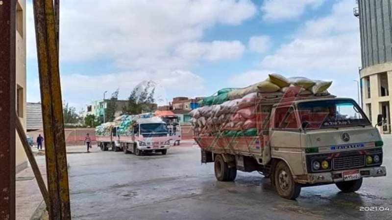 توريد القمح