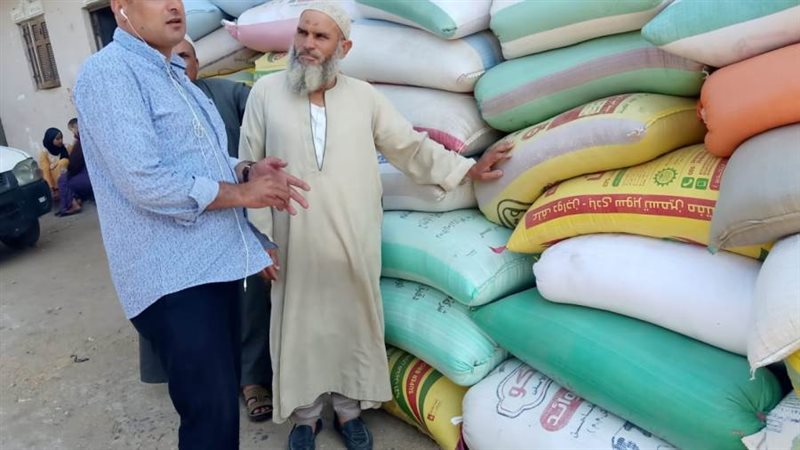 توريد القمح للصوامع