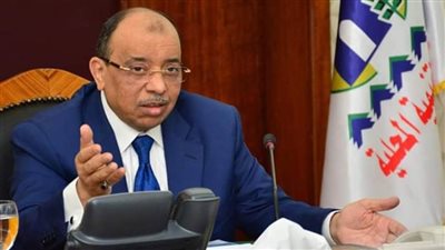 وزير التنمية المحلية: مصر تدعم جهود الدول الإفريقية في مسيرة البناء والتنمية