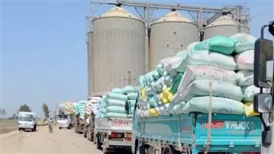 وكيل وزارة التموين بمحافظة الغربية توريد 173 ألف طن قمح