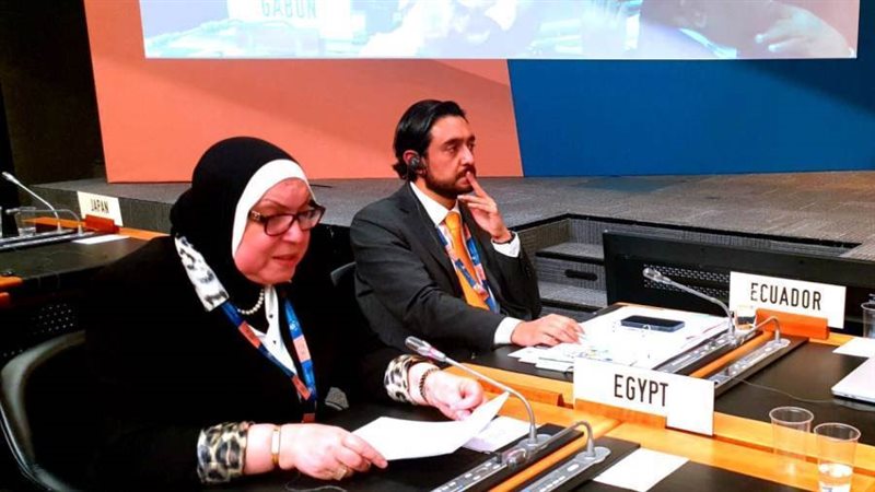 وزيرة التجارة والصناعة