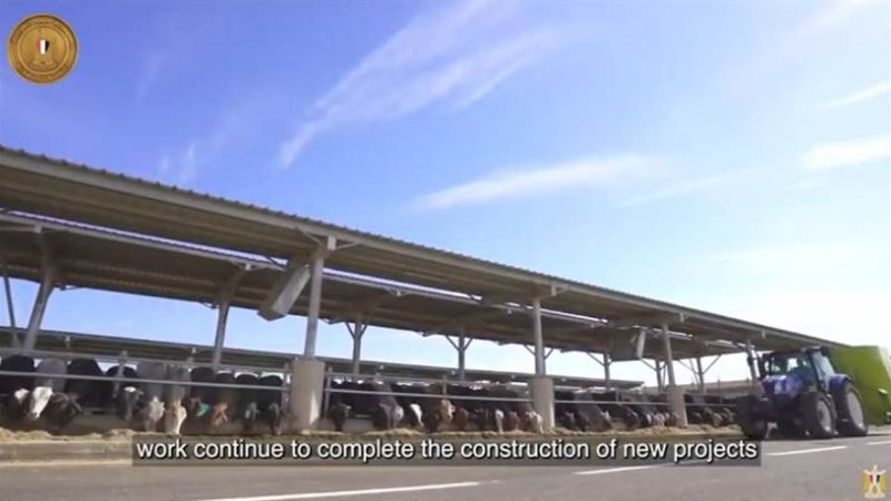 افتتاح مشروعات الإنتاج