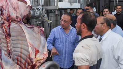 محافظ الإسكندرية يتفقد أعمال الإحلال والتجديد ورفع الكفاءة بالمجزر الآلي