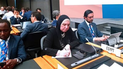 نيفين جامع: دور محوري للتجارة في الحد من التغيرات البيئية وتعزيز قدرات الدول على التحول الأخضر