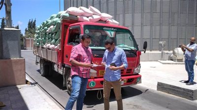 ضبط ١٤ طن قمح محلي قبل تهريبها خارج الإسكندرية