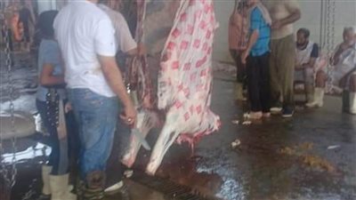 الذبح ممنوع في المنازل خلال أيام العيد بـ”المنوفية“.. والعقوبة فورية