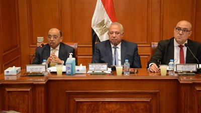 وزير التنمية المحلية يشارك في اجتماع لجنة الإسكان والإدارة المحلية بمجلس الشيوخ