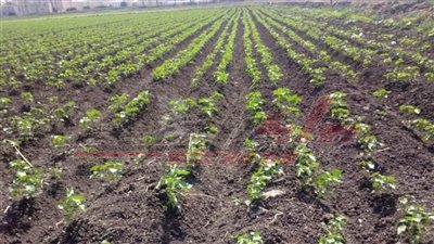 أبواليزيد يكشف لـ 