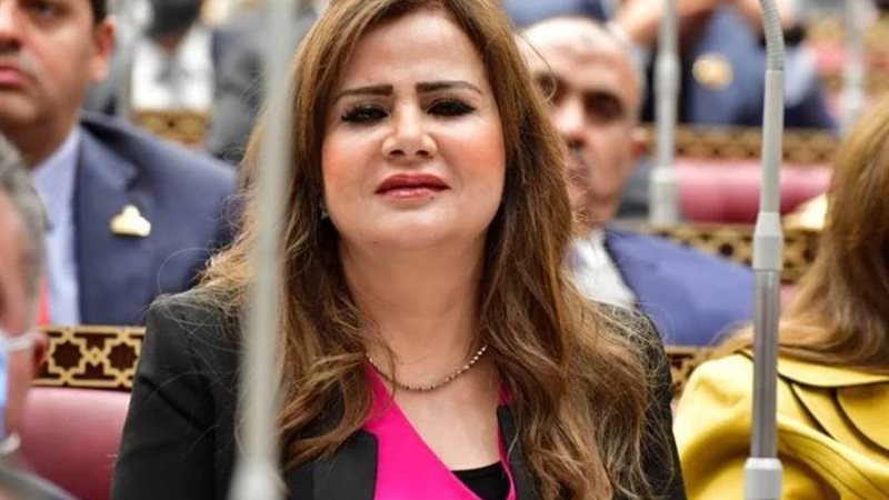 النائبة أمل رمزى