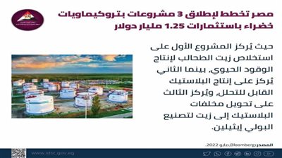 مصر تخطط لإطلاق 3 مشروعات بتروكيماويات خضراء 