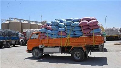 توريد 185 ألف طن قمح إلى شون وصوامع محافظة الغربية
